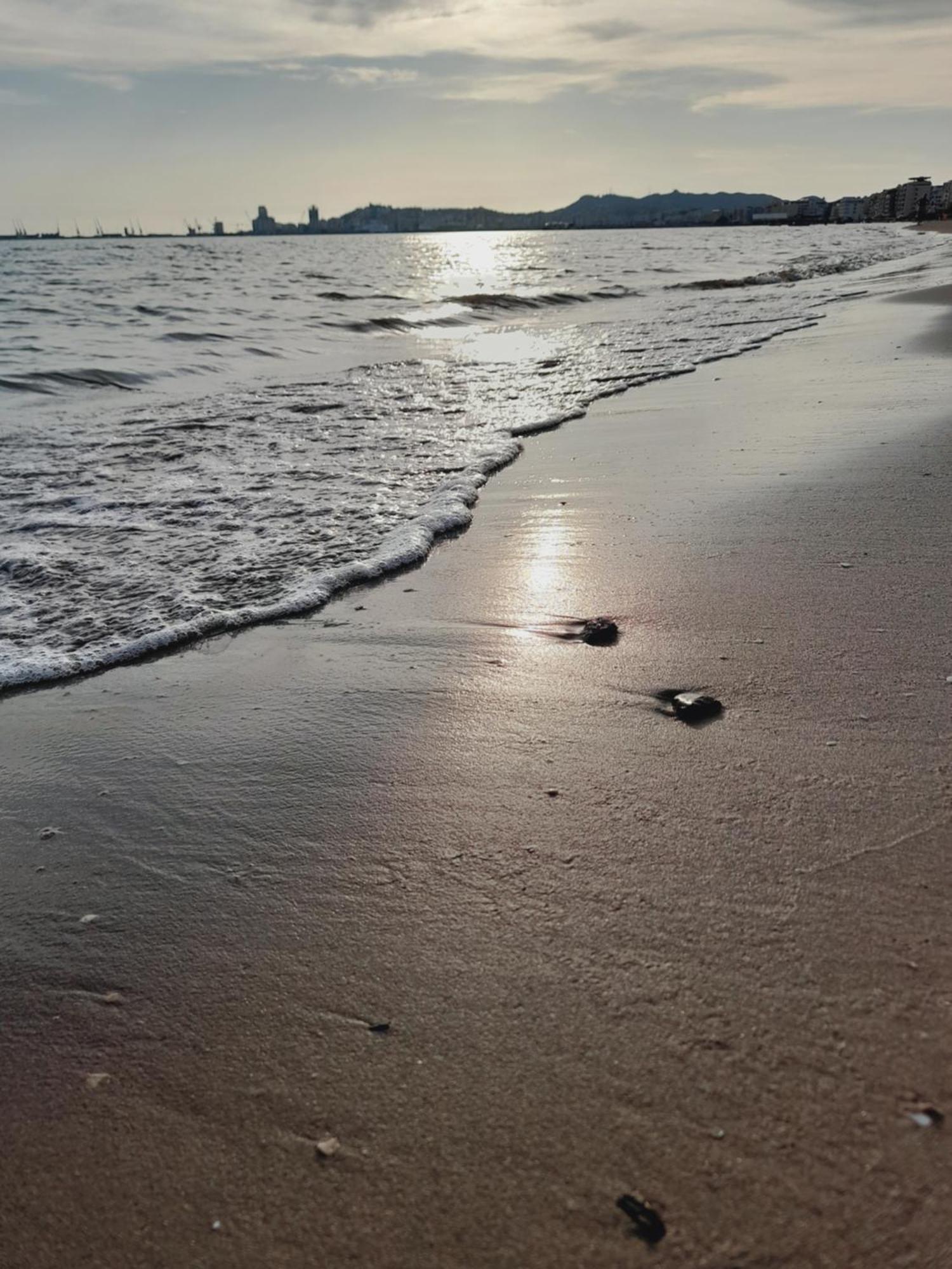 Seaside Deluxe Apartment Dıraç Dış mekan fotoğraf